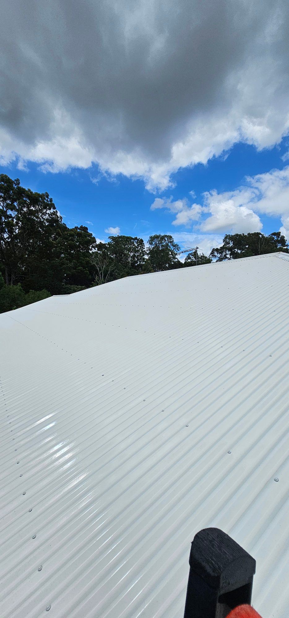 Colorbond roof after softwash