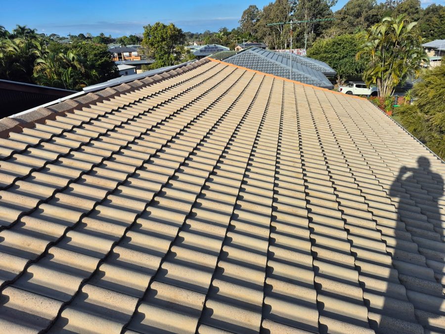 Tiled roof after cleaning