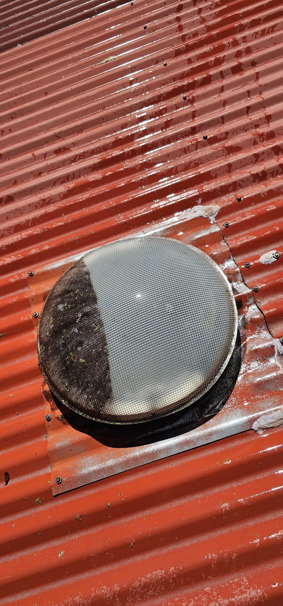 Removing mould from skylight