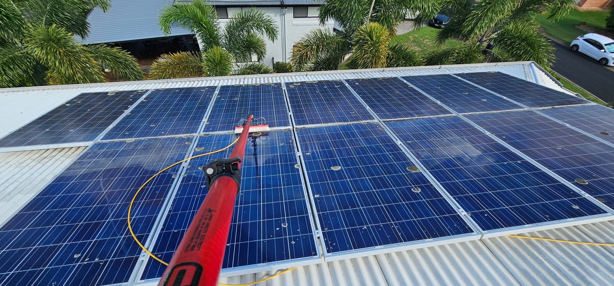 Lichen covered solar panels